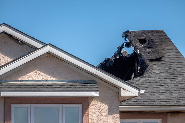 Licensed Fire Damage Removal service in Dayton, MN - Fire Damage Biloxi